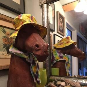 Meet your Posher, Jana